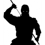 Fear ninja academy