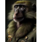 MONKEY M1LITARY