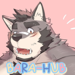 BARA-HUB Group Thumbnail