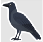 Crows Events