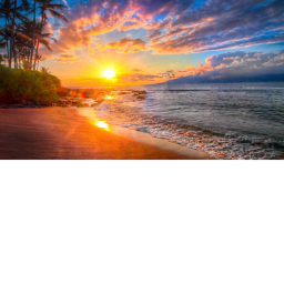 Sunset foods