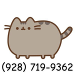 Catwithapinkbow