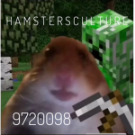 H A M S T E R S C U L T U R E