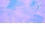 Maxixcherry