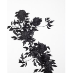 Black O Flower