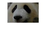 Panda'sForLife
