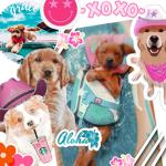 Doggirlsgroup