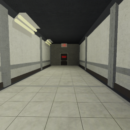 The Maze