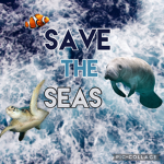 Save the Seas !!