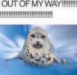φ-∅-φ-∅-φ-∅-φ-∅-φ-∅-φ-∅-φ-∅-φ-∅-φ-∅-φ-∅-φ-∅-φ-∅-φ