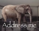 address the elephant in the room