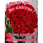 BEBRA1235