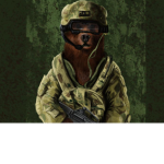 BEAR UNITED MILITARY GROUP