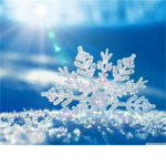 Winter Snowfalls