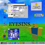 eyesins