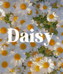 <~My daisies~>