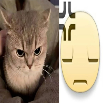 ≽^• ˕ • ྀི≼