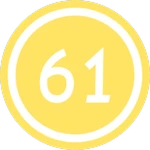 #61 VIP