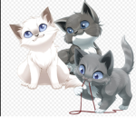 The kitten-Cats
