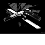 Combat Appeal Inc.™