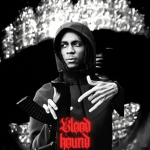 [BH4L] Bloodhound 4 Life