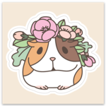 Guinea Pig Group :3