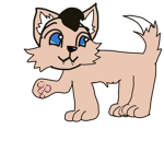 Awsome Kitty Group