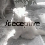 /deceptive Group Thumbnail