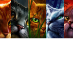 Warrior cats fandom to