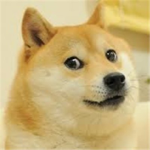 IMMORTAL DOGE ARMY