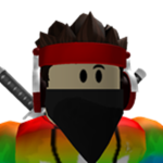 Ninja go