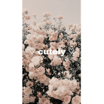 - cutely -