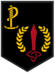 Irish Army Rangers!!!