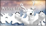 Wolves' Life Fans!