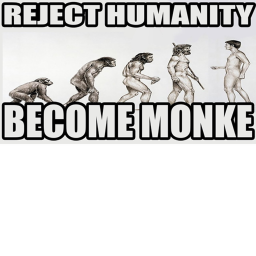 MONKE PLACE