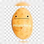 The group for the potato gang