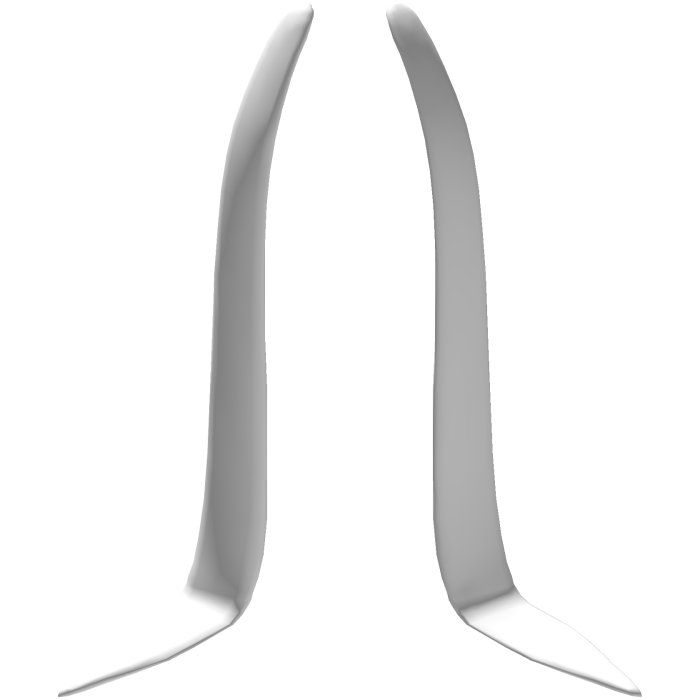 White Long Bunny Ears