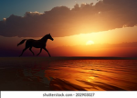 Horse Galloping in the Sunset Studios
