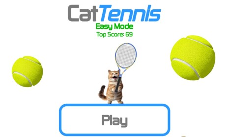 Cat Tennis 🎾