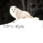 Foxes forever army