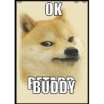 DOGE CLAN AND BOIS CLAN :)