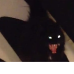 II_II