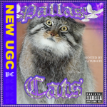Pallas' Cats