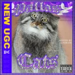 Pallas' Cats Group Thumbnail