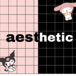 aesthetics_store