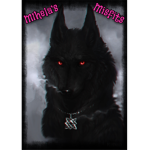 Mihela's Misfitss<3