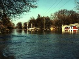 Survive a flood!