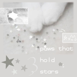 paws that hold stars ~ .