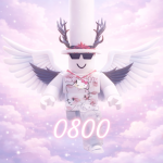 ホ 0800R