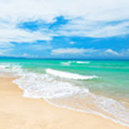 Beach Hangout